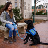 IU senior Julie Mathias joins passion for animals with campus club